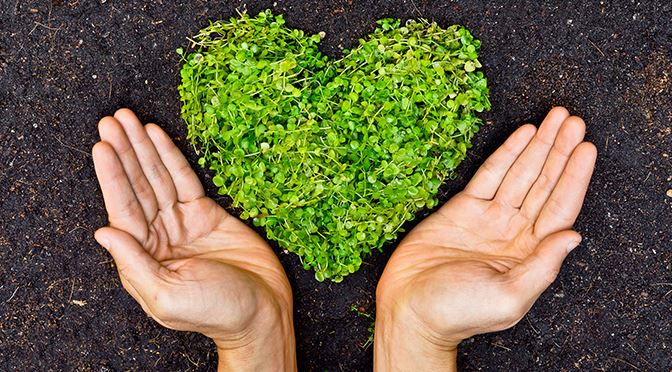 Read more about the article THE BENEFITS OF ECO-FRIENDLY CAR PAINT